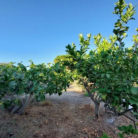 Casa Tra Cielo E Mare Отель типа 