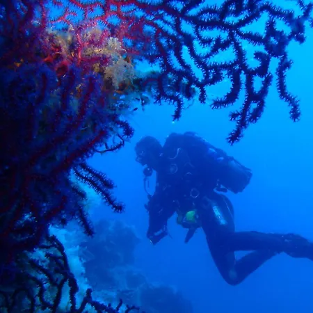 Casa Tra Cielo E Mare Bed & Breakfast