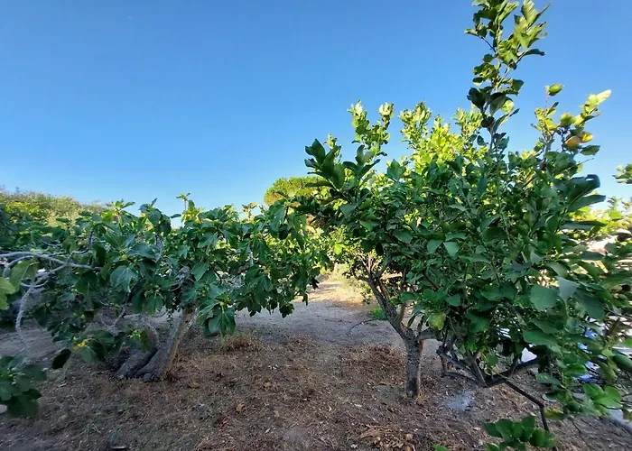 Casa Tra Cielo E Mare ベッド・アンド・ブレックファスト リーパリ