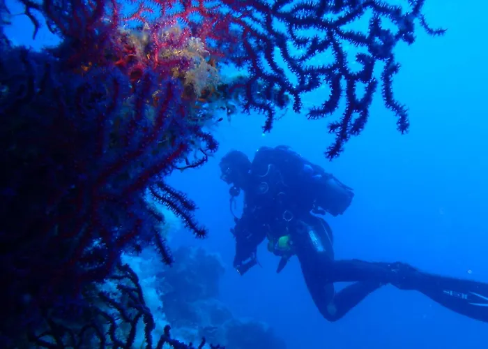 Casa Tra Cielo E Mare ベッド・アンド・ブレックファスト